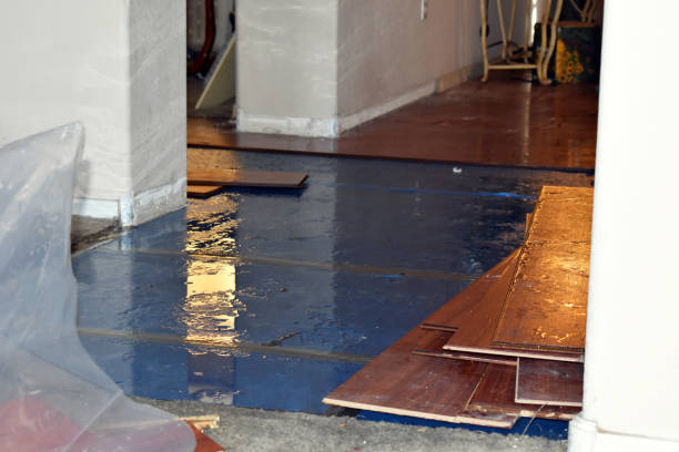 Professional Emergency Water Damage Restoration technician working in Caledonia, OH
